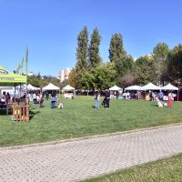 3.ª AnimaLonga - Festa Animal