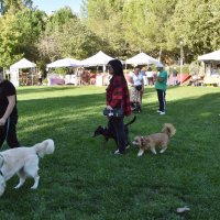 3.ª AnimaLonga - Festa Animal