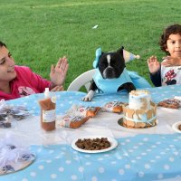 3.ª AnimaLonga - Festa Animal